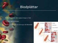 /album/blodplattar/a6-blodet-008-jpeg1/